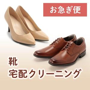 【お急ぎ便】靴の宅配クリーニング(補色サービス付)の商品写真