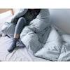 羽毛のようにあたたかい洗える抗菌防臭防ダニ掛け布団の商品写真