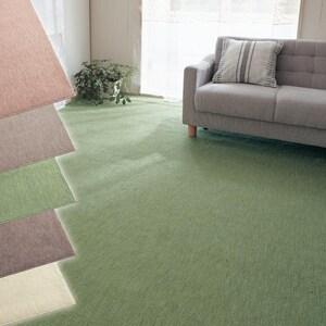 防ダニ・抗菌・防カビカーペット <フリーカット仕様>の商品写真