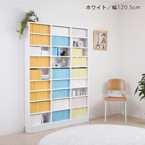 棚板1cmピッチの薄型オープン壁面ラックの商品写真