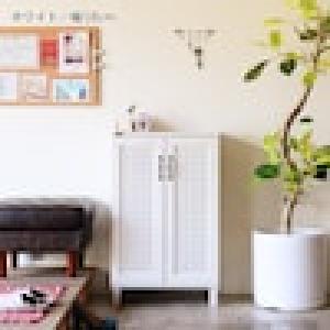 通気性の良いシューズボックスの商品写真