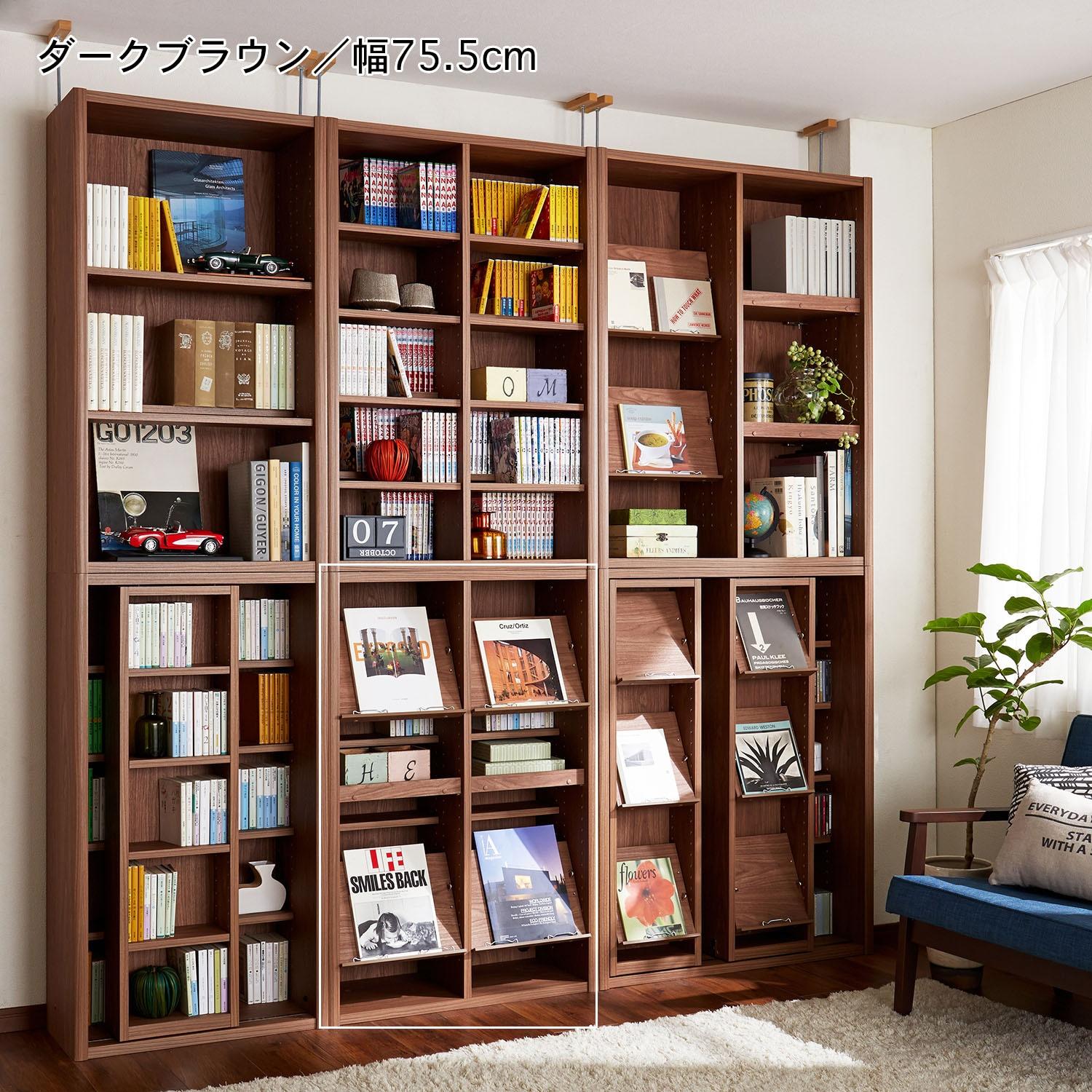 カスタマイズ自由自在!ダブル棚板&ディスプレイ棚のラックの商品写真