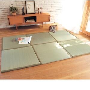 アース防ダニ(R)国産い草の置き畳[日本製]の商品写真