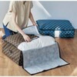 【4月27日までまとめ買いでお得】 クローゼットと押入れにぴったりの防ダニ機能が続く軽圧縮布団収納袋の商品写真