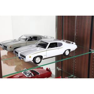 コレクションキャビネット(幅55cm)専用ミラーの商品写真