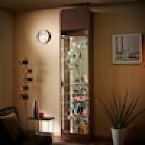 LEDライト付きコレクションキャビネット(幅55cm)の商品写真