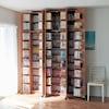 扉裏まで収納できる大容量のコミック・DVD収納ラックの商品写真