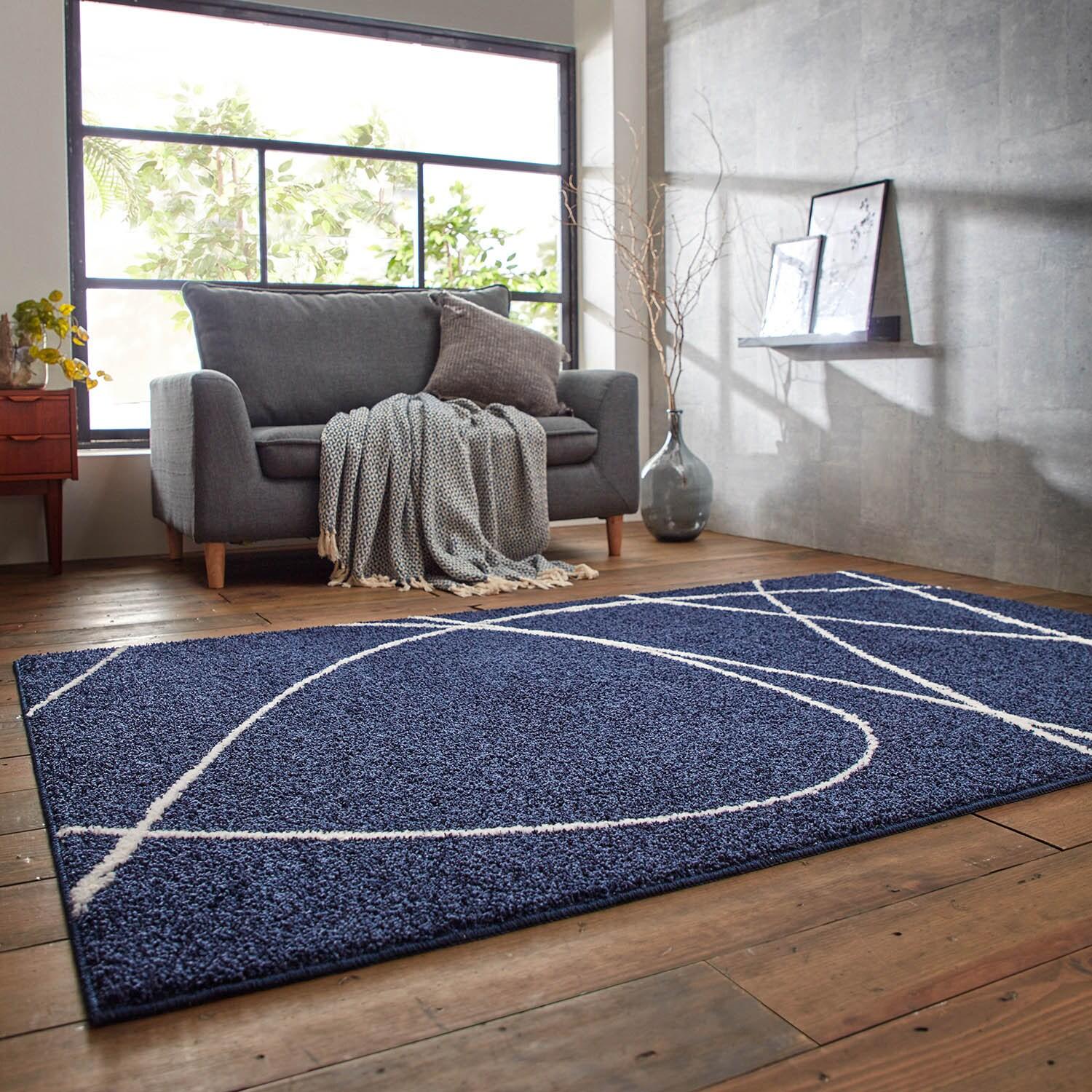 極細やわらかナイロン糸を使用した耐久性のあるモダンラグの商品写真