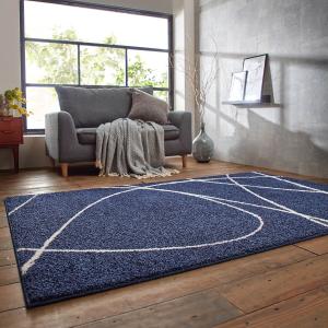 極細やわらかナイロン糸を使用した耐久性のあるモダンラグの商品写真