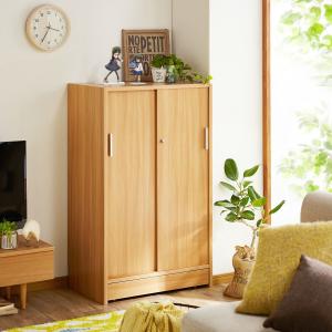 大容量収納!棚板を細かく調整できる引戸ダブル棚板ラック・本棚の商品写真