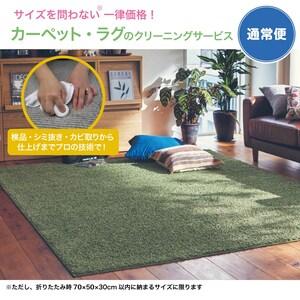 【通常便】 カーペット・ラグの宅配クリーニングの商品写真