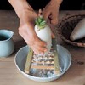 食感がやみつきになる大根おろし「鬼おろし」[日本製]の商品写真