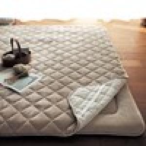 撥水・防汚・抗菌・防臭マイクロファイバーの洗えるパッド(こたつ敷布団用)の商品写真