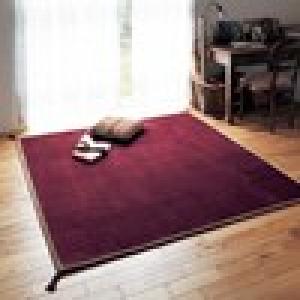 額縁デザインのウレタン入りラグの商品写真