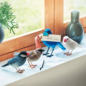 小鳥のメモクリップ <ブルーバード/白文鳥/桜文鳥/スズメ>の商品写真