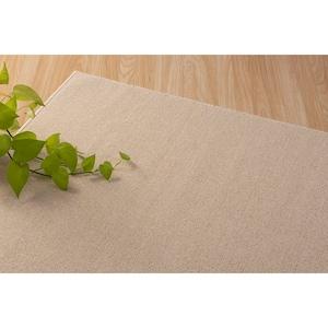 暮らしに馴染むベーシックカラー防炎カーペット[日本製]の商品写真