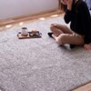 光沢のある防ダニ・抗菌防臭ツイストシャギーラグ[日本製]の商品写真