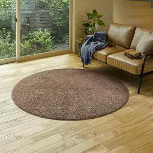 光沢のある防ダニ・抗菌防臭ツイストシャギー円形ラグ[日本製]の商品写真