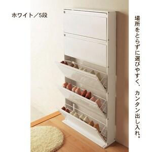 フラップシューズラックの商品写真