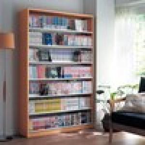 ダブル棚板コミックラック <奥行29.5cm>の商品写真