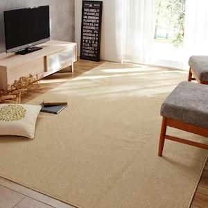 防炎抗菌カーペット[日本製]の商品写真