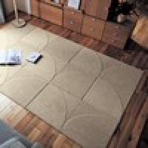 組み合わせを楽しめる汚れが落ちやすいジョイントラグ(約50×50cm)[日本製]の商品写真