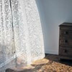 木漏れ日のようなレースカーテン"鳥とベリー"の商品写真