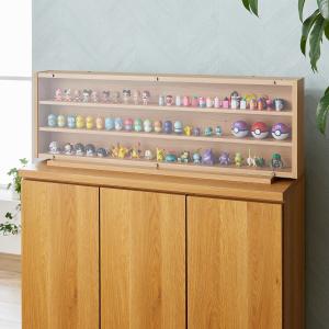 お気に入りをきれいに飾れるディスプレイケースの商品写真