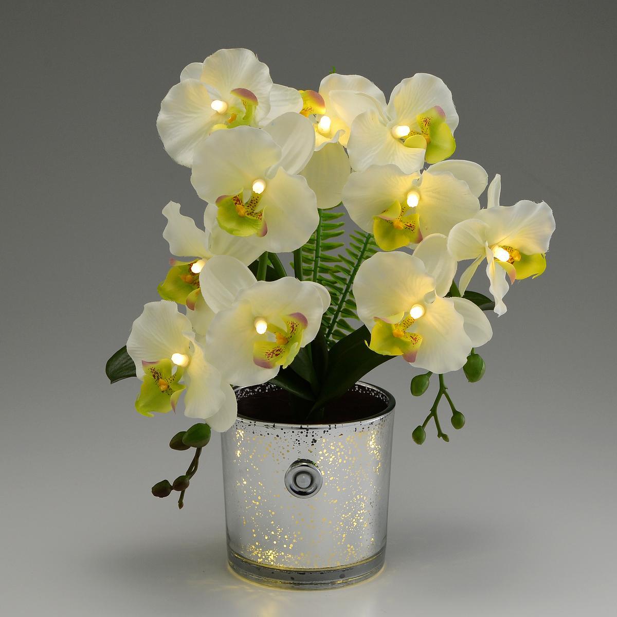 フォルモサ LEDフラワー グラス胡蝶蘭 人感センサー付の商品写真