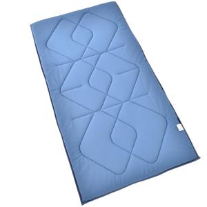 TEIJIN Tcomfort 軽量敷き布団プレミアムクリーンの商品写真