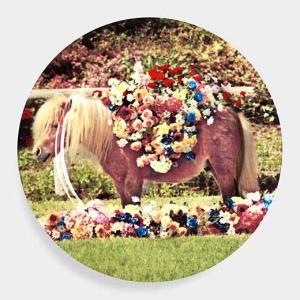 Maurizio Cattelan:プレート Ponyの商品写真