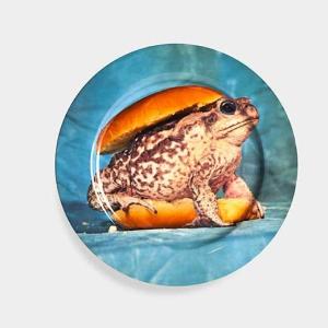 Maurizio Cattelan:プレート Toadの商品写真