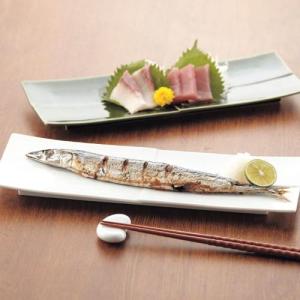 電子レンジ対応角長皿"カーム"同色2枚セット【さんま皿】の商品写真