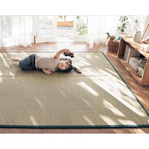 国産無染土・無染色のい草ラグ国産無染土・無染色のい草ラグの商品写真