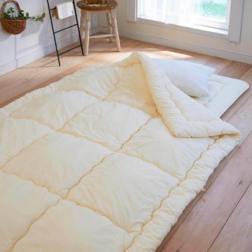 菌を抑制する制菌わた100%使用の日本製掛け布団の商品写真