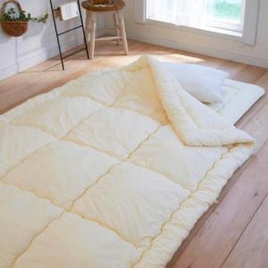 菌を抑制する制菌わた100%使用の日本製掛け布団の商品写真