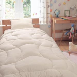 ミクロガード(R)スタンダード使用抗菌防臭防ダニ掛け布団の商品写真