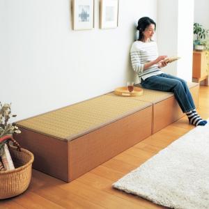 樹脂畳ユニットボックス(ロータイプ)の商品写真