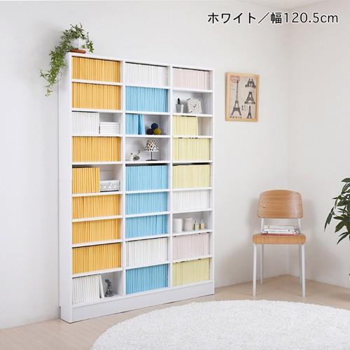 棚板1cmピッチの薄型オープン壁面ラックの商品写真