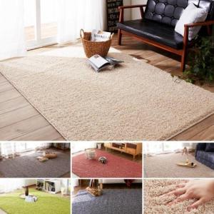 毛足長めの防ダニ・抗菌防臭ラグ(レセルバ)の商品写真