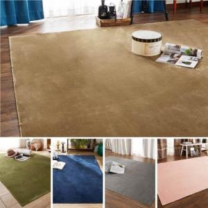 お手入れ簡単!軽くて使いやすいウォッシャブルラグの商品写真