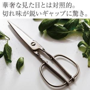 分解して洗えるキッチンバサミ"キッチンスパッター"[日本製]の商品写真