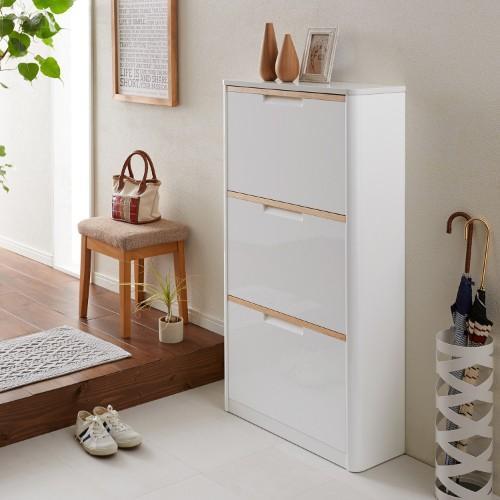 フラップ扉の薄型シューズボックスの商品写真