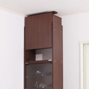 コレクションキャビネット(幅55cm)専用上置きの商品写真