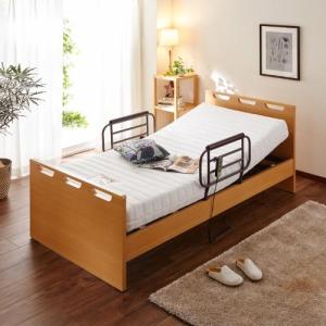 【非課税対象】持ち手の付いた電動リクライニングベッド<シングル>の商品写真