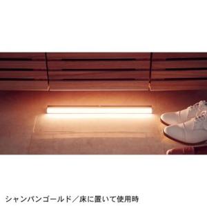 LEDセンサーライトの商品写真