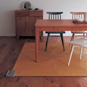 日本製フローリング調の防水加工ホットカーペットの商品写真