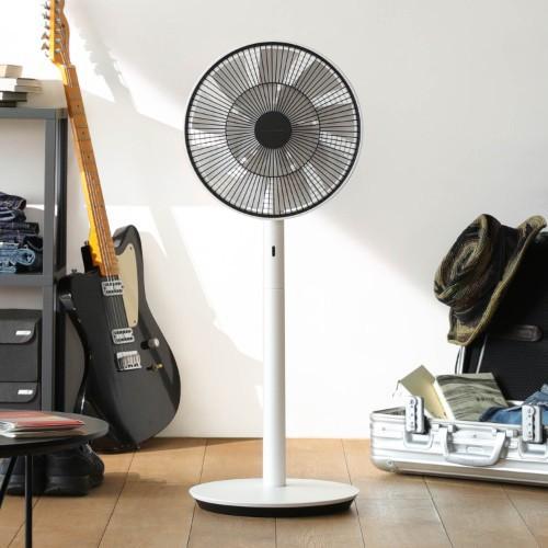 バルミューダ ザ・グリーンファンの商品写真