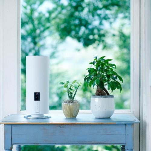 デュクスビーム ミニ超音波式加湿器の商品写真