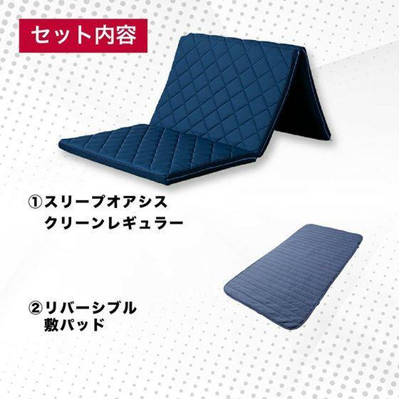 スリープオアシス クリーン レギュラー 敷パッドセット【クイーン】の商品写真